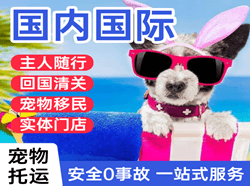 甘南夏河航空快运国际宠物托运 【国